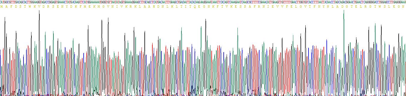 Figure . Gene Sequencing (Extract)