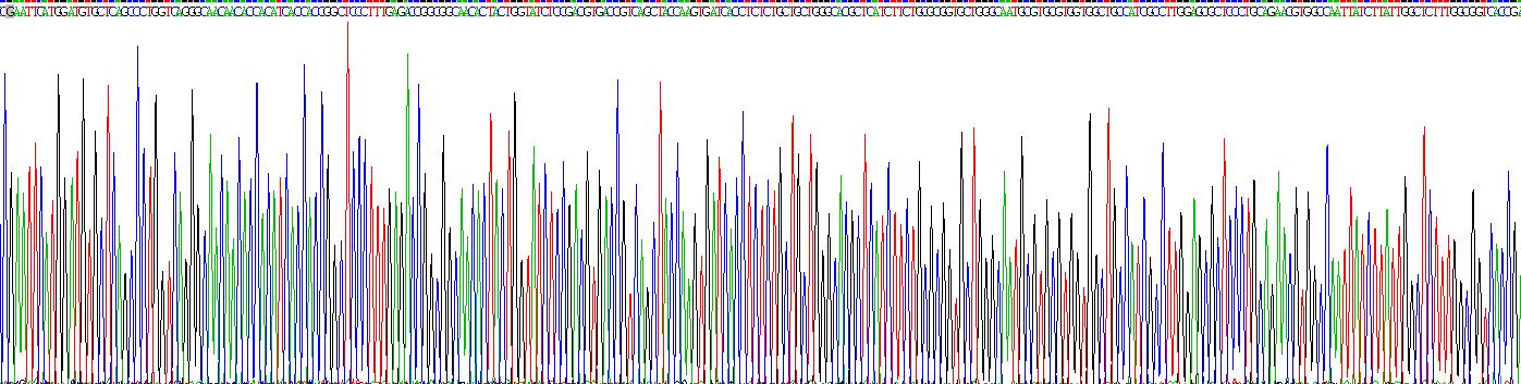 Figure . Gene Sequencing (extract)