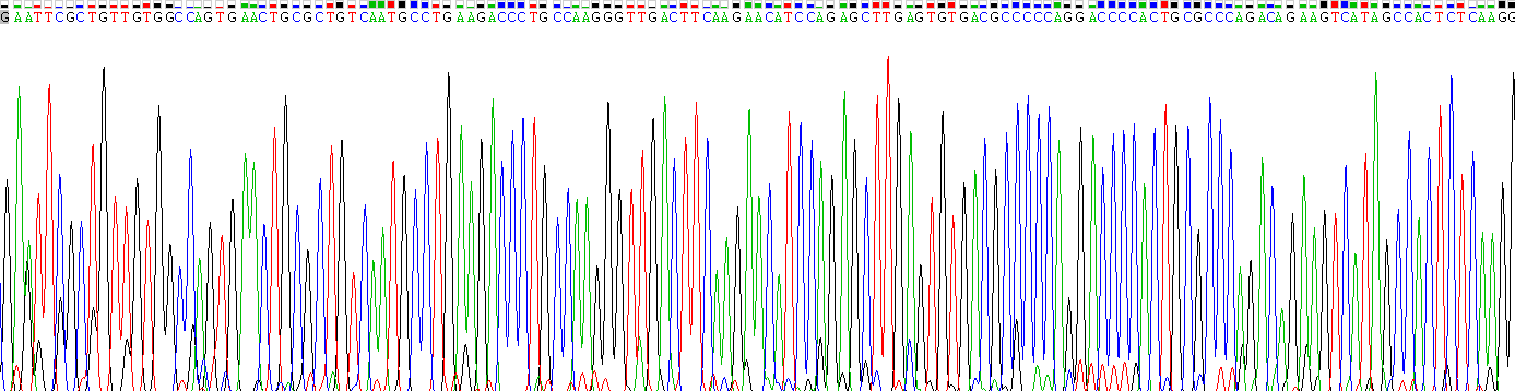 Gene Sequencing (extract)
