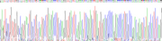 Gene Sequencing (extract)