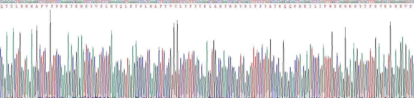 Figure . Gene Sequencing (Extract)