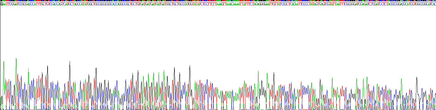 Figure . Gene Sequencing (extract)