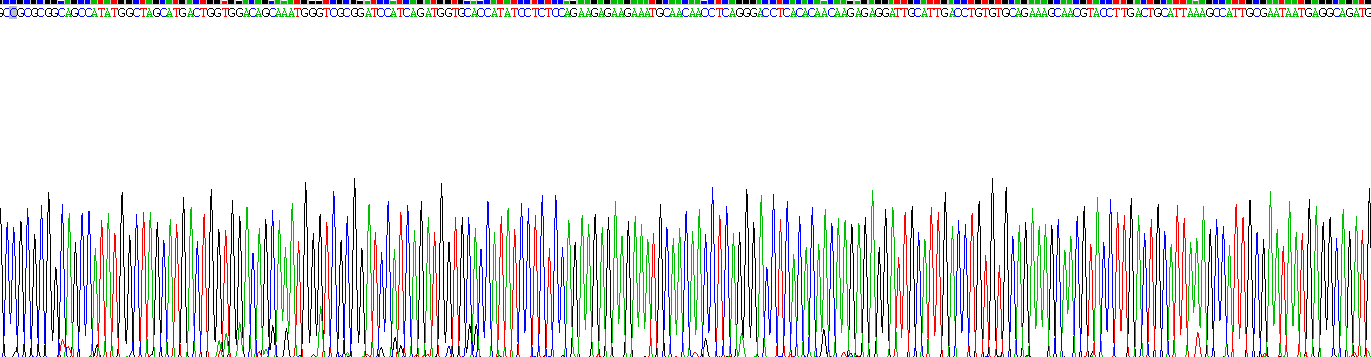 Figure . Gene Sequencing (extract)