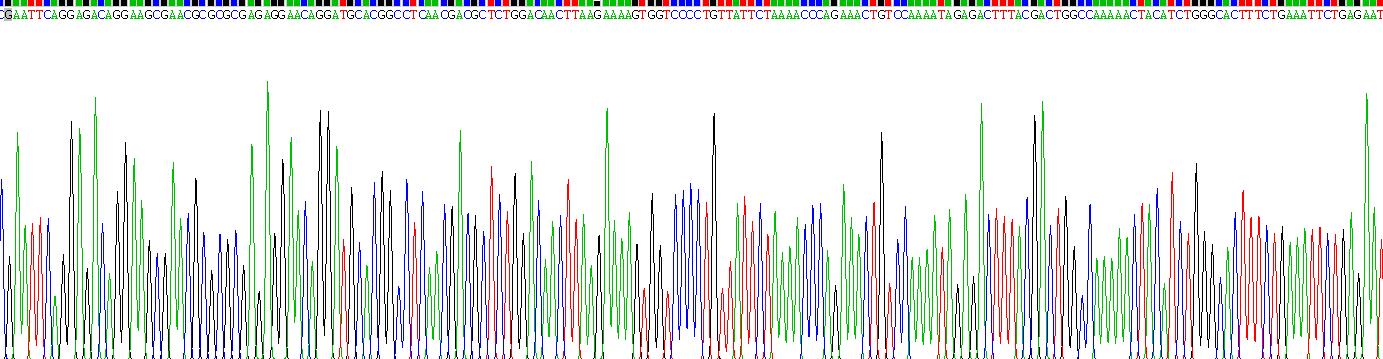 Gene Sequencing (extract)