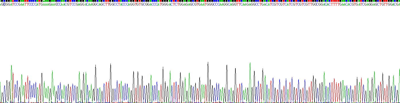 Figure . Gene Sequencing (extract)