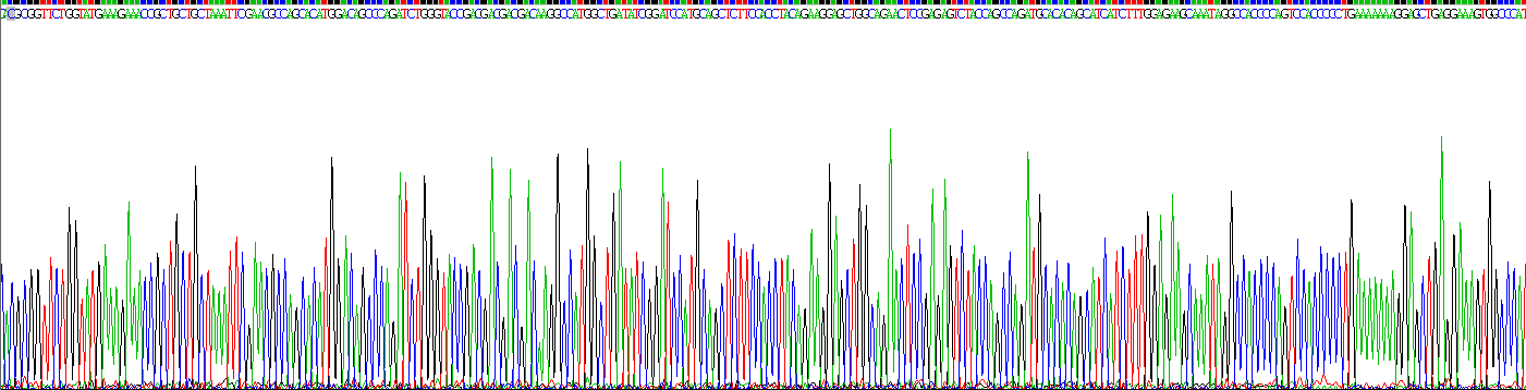 Figure . Gene Sequencing (extract)