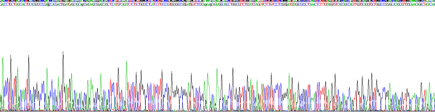 Figure . Gene Sequencing (extract)