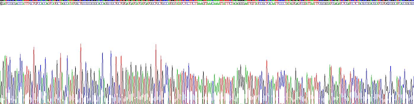 Figure . Gene Sequencing (extract)