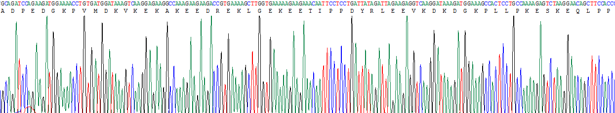 Figure . Gene Sequencing (Extract)