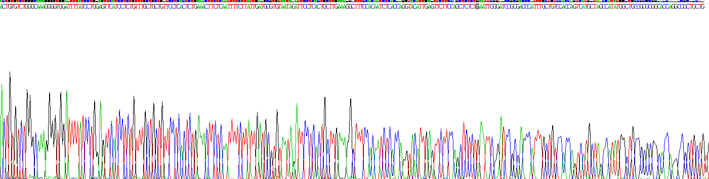Figure . Gene Sequencing (extract)