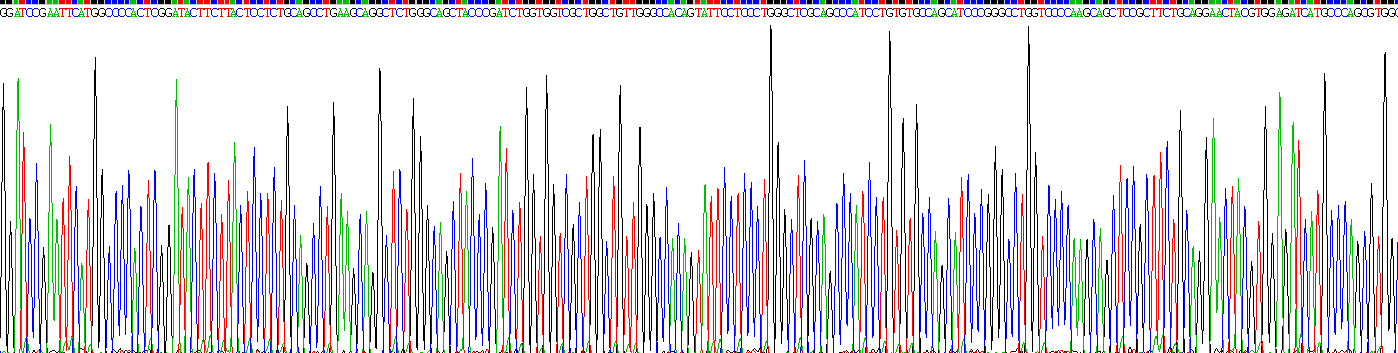 Figure . Gene Sequencing (extract)