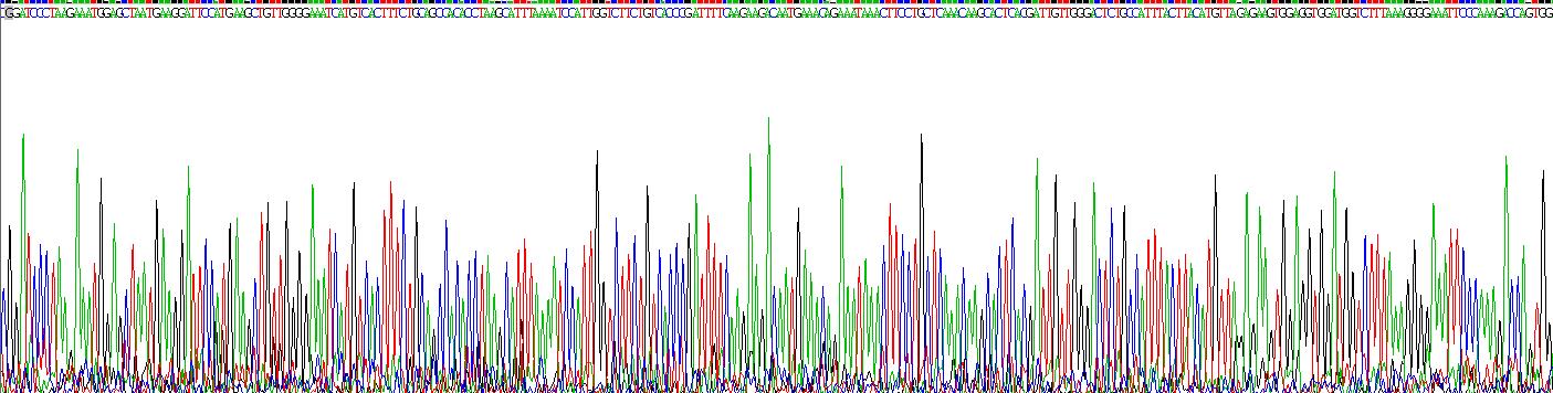 Figure . Gene Sequencing (extract)