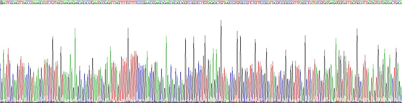 Figure . Gene Sequencing (extract)
