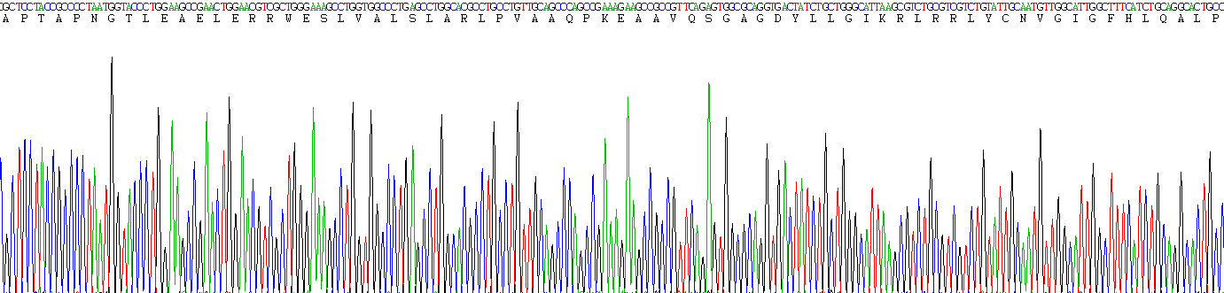 Figure . Gene Sequencing (Extract)