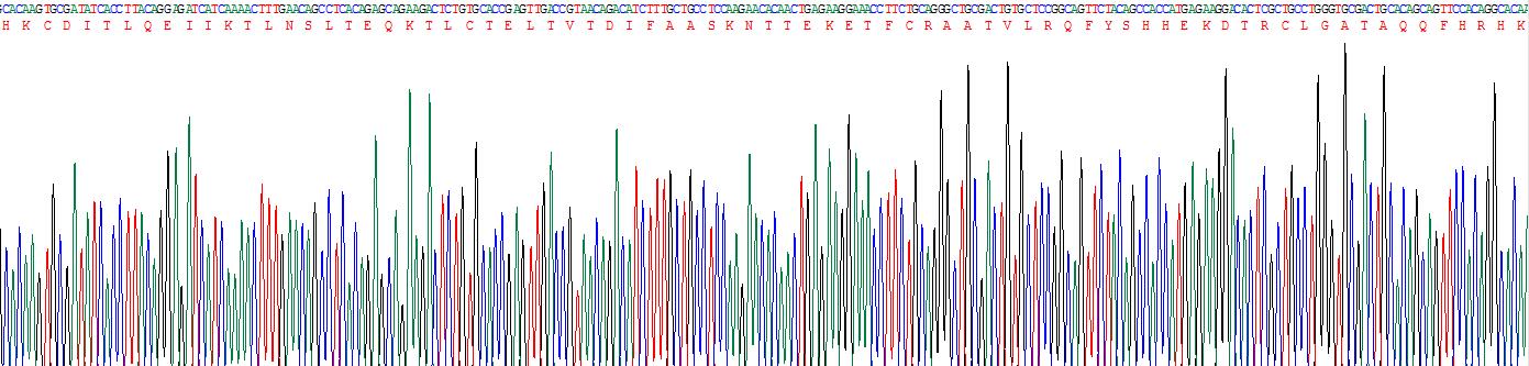 Figure . Gene Sequencing (Extract)