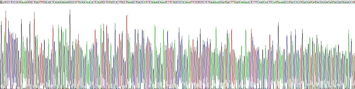Figure . Gene Sequencing (extract)