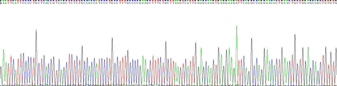 Figure . Gene Sequencing (extract)
