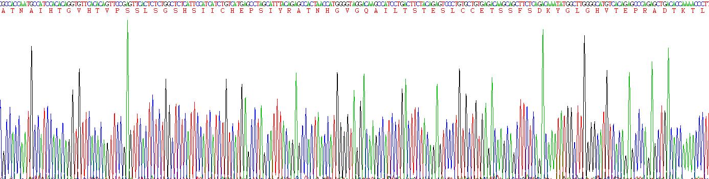 Figure . Gene Sequencing (extract)