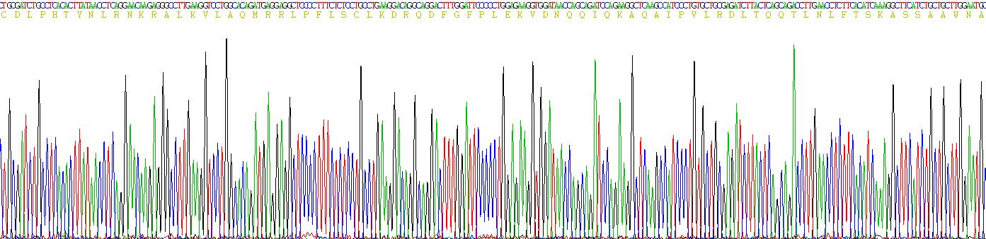 Figure . Gene Sequencing (Extract)