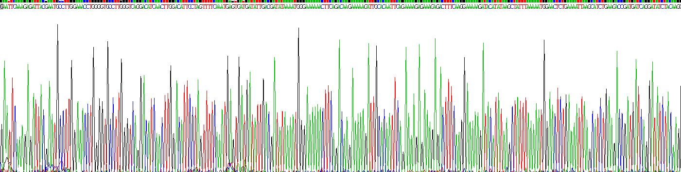 Figure . Gene Sequencing (extract)