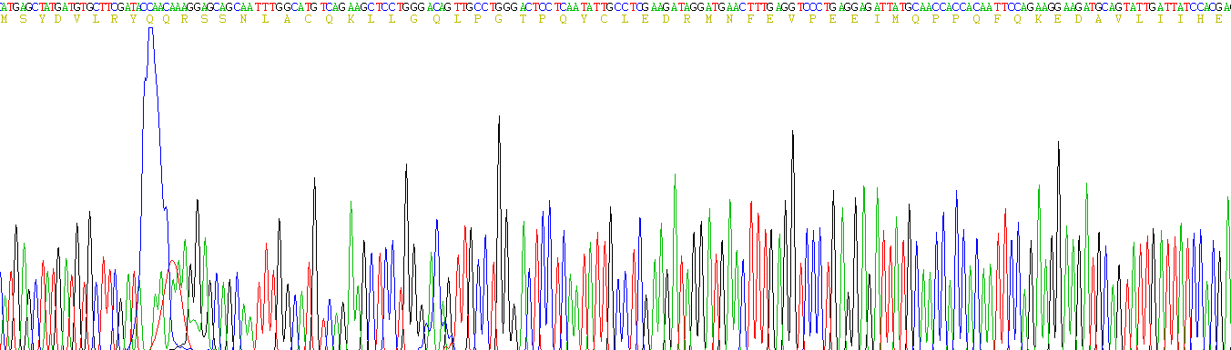 Figure . Gene Sequencing (extract)