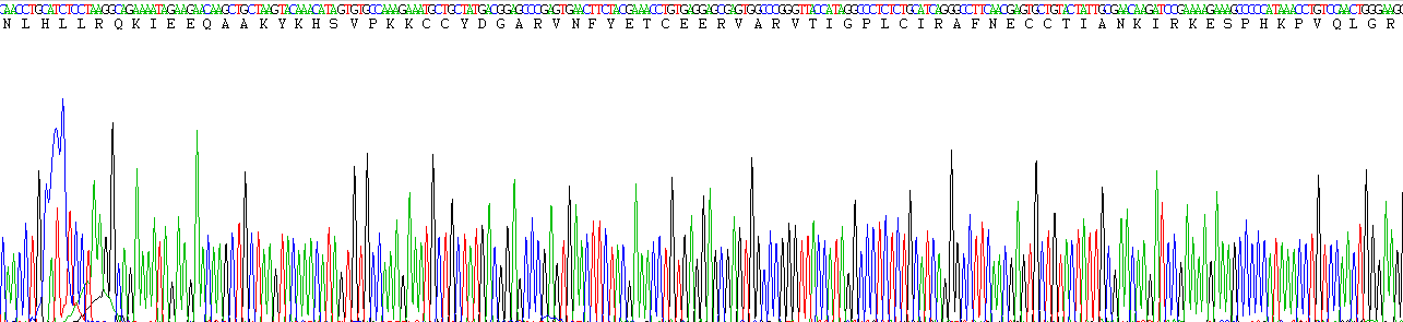 Figure . Gene Sequencing (Extract)