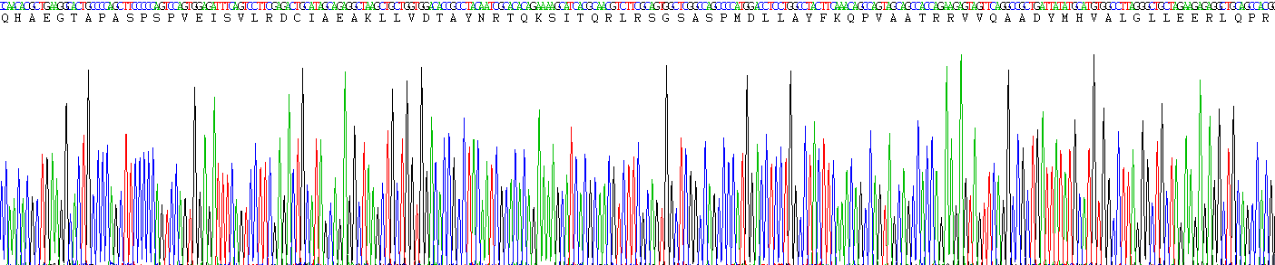 Figure . Gene Sequencing (Extract)