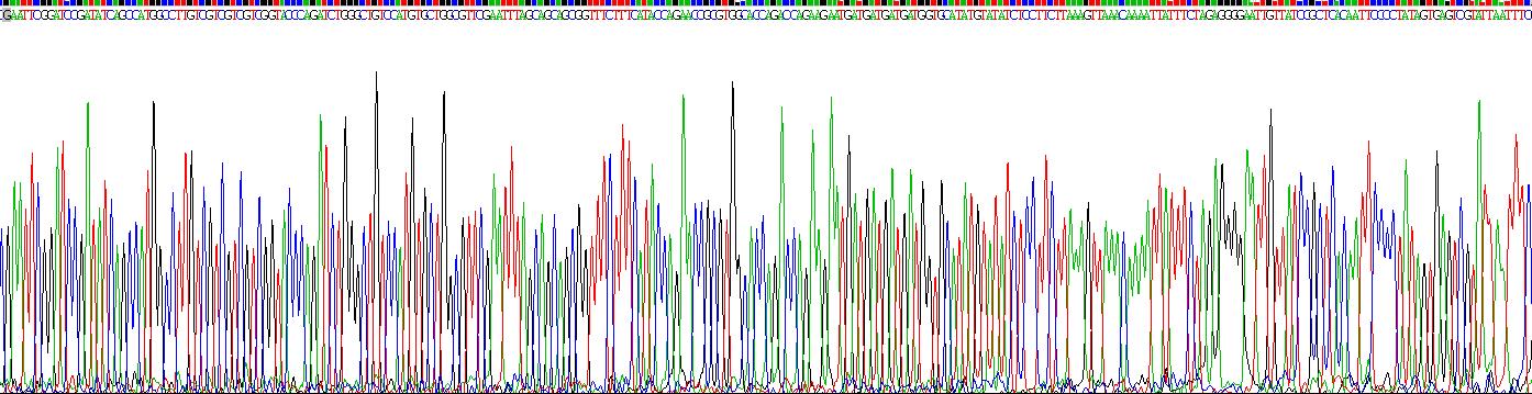 Figure . Gene Sequencing (extract)