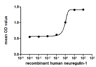 The dose-effect curve of NRG1 was shown in Figure 2. It was obvious that NRG1 significantly promoted cell proliferation of MCF-7 cells. The ED50 for this effect is typically 5.240 to 9.112 ng/mL.Figure. The dose-effect curve of NRG1 on MCF-7 cells.