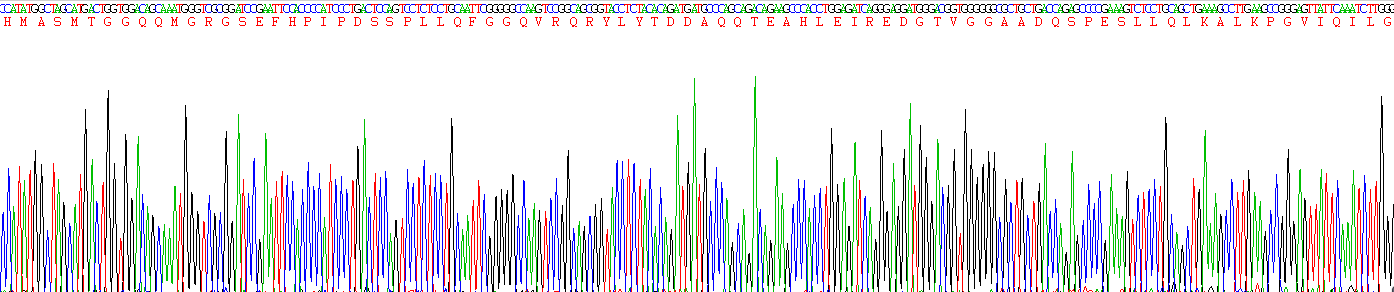 Figure . Gene Sequencing (Extract)