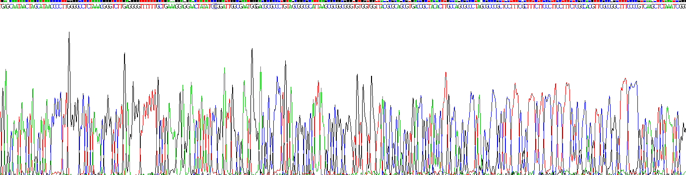 Figure . Gene Sequencing (extract)