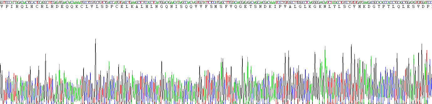 Figure . Gene Sequencing (Extract)