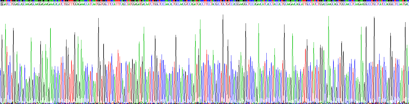 Figure . Gene Sequencing (extract)