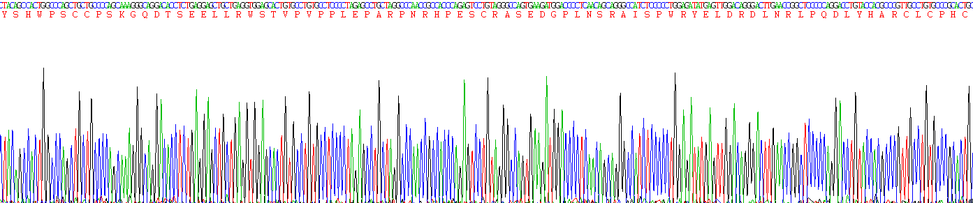 Figure . Gene Sequencing (Extract)