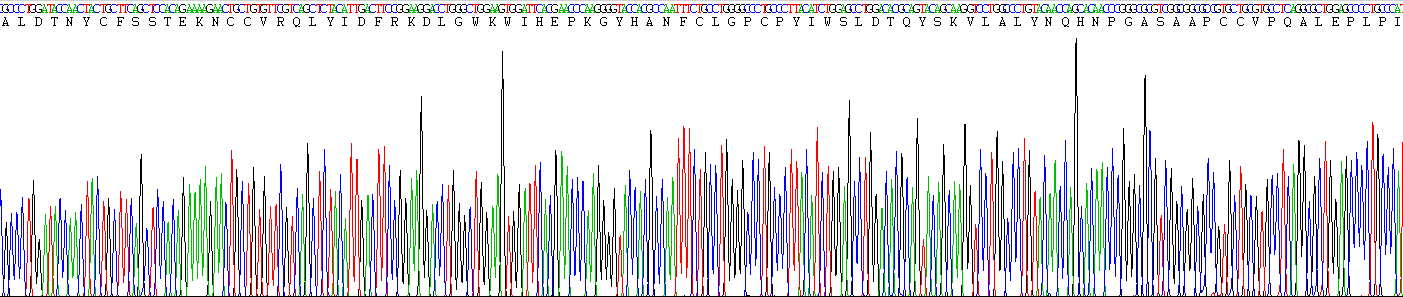Figure . Gene Sequencing (Extract)