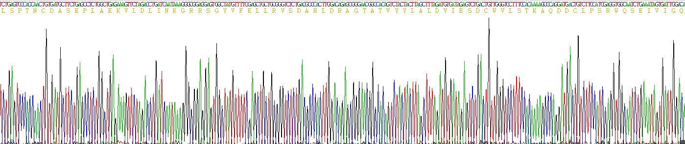 Figure . Gene Sequencing (Extract)