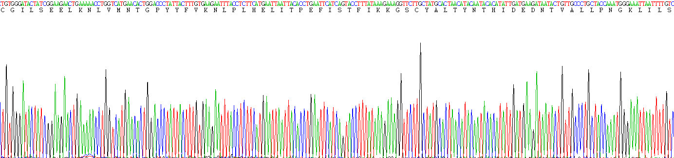 Figure . Gene Sequencing (Extract)