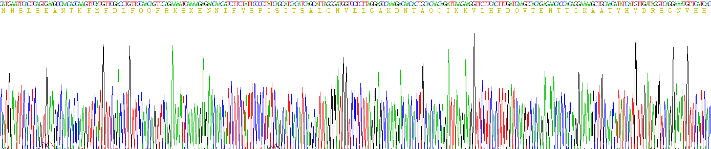 Figure . Gene Sequencing (Extract)