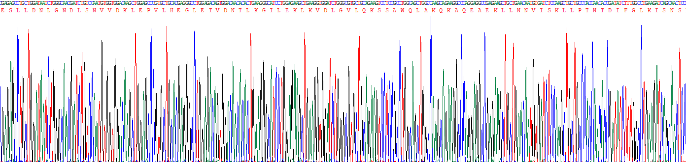 Figure . Gene Sequencing (Extract)