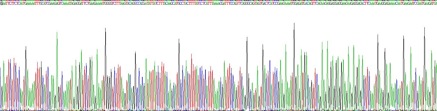 Figure . Gene Sequencing (extract)