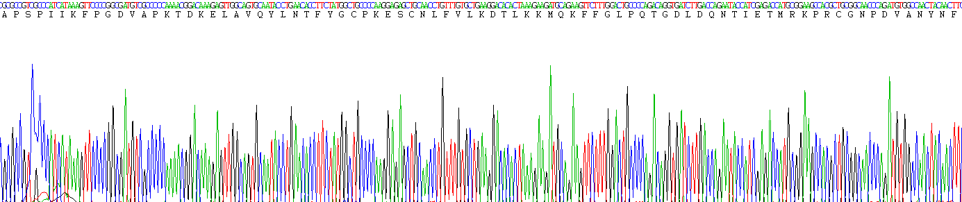 Figure . Gene Sequencing (Extract)