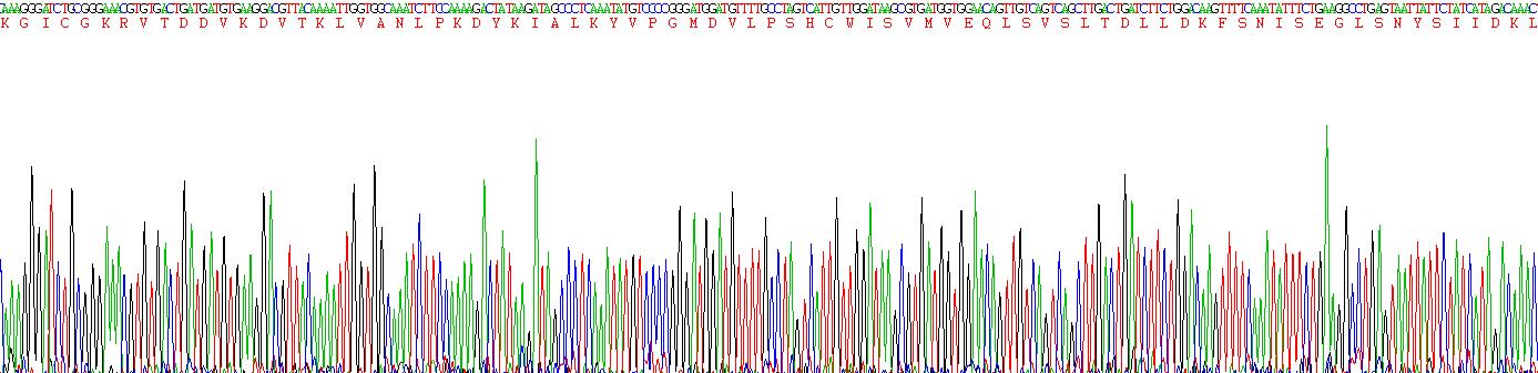 Figure . Gene Sequencing (Extract)