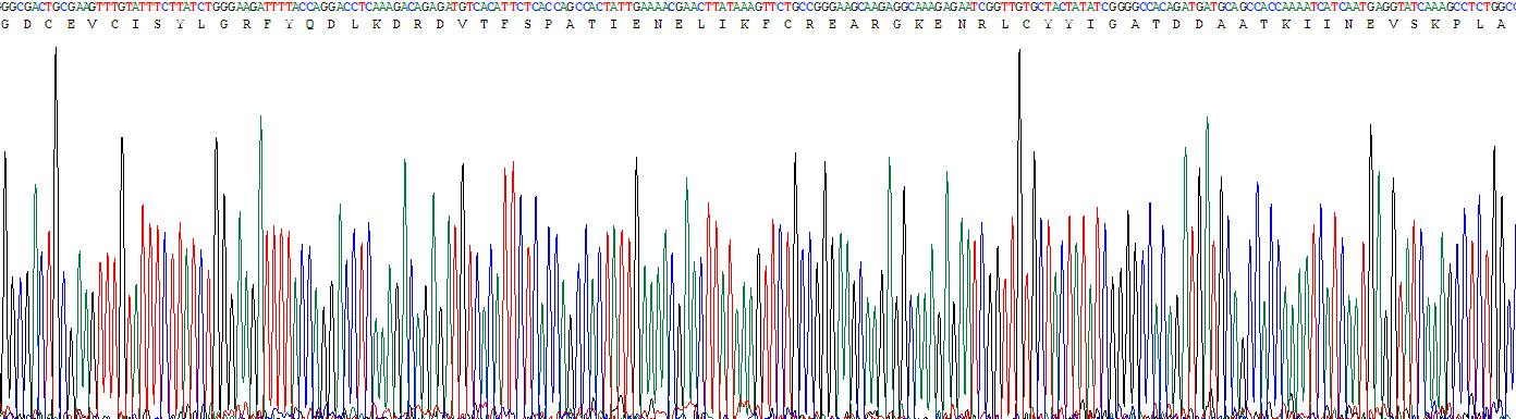 Figure . Gene Sequencing (Extract)