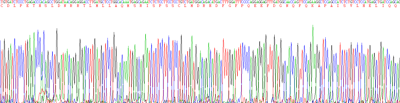 Figure . Gene Sequencing (Extract)