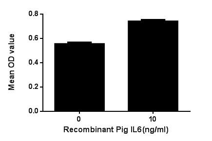 Figure. Cell proliferation of Raji cells after stimulated with IL6.
