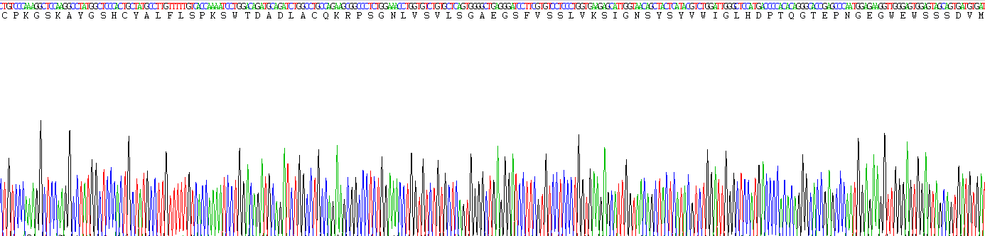 Figure . Gene Sequencing (Extract)