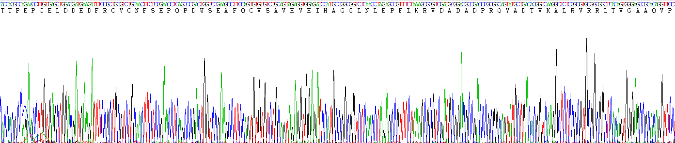 Figure . Gene Sequencing (Extract)
