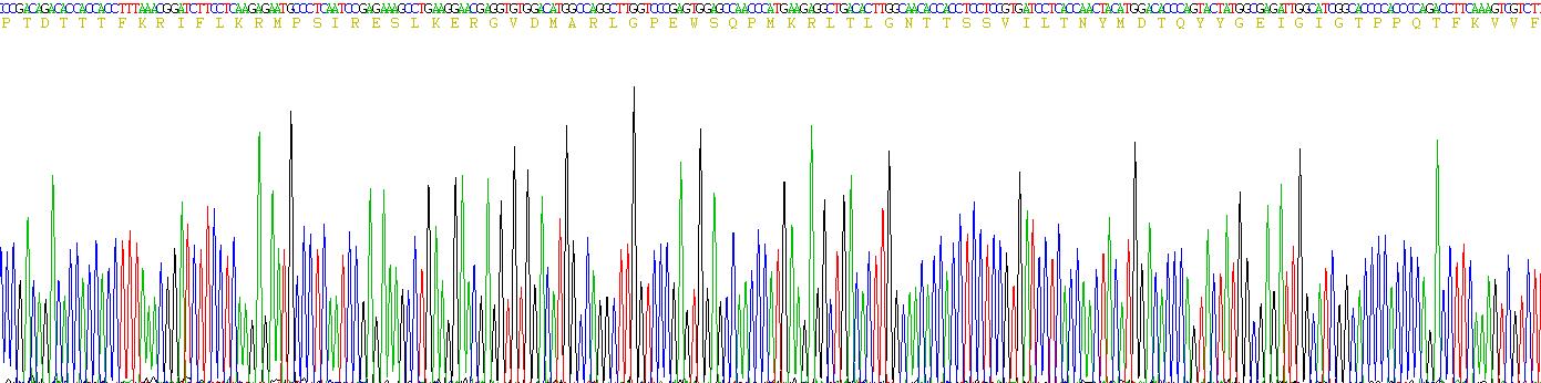 Figure . Gene Sequencing (Extract)