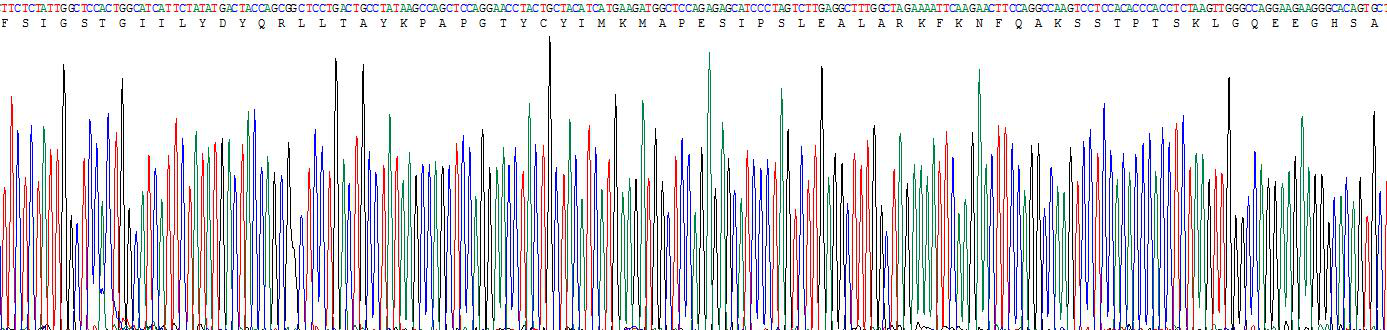 Figure . Gene Sequencing (Extract)