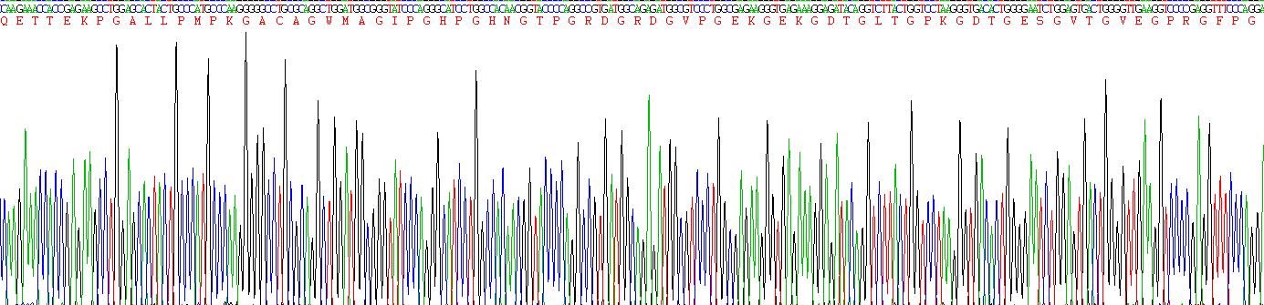 Figure . Gene Sequencing (Extract)